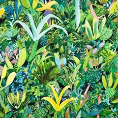 jungle