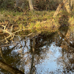 slow spaces