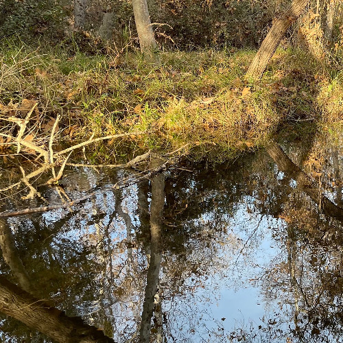 slow spaces