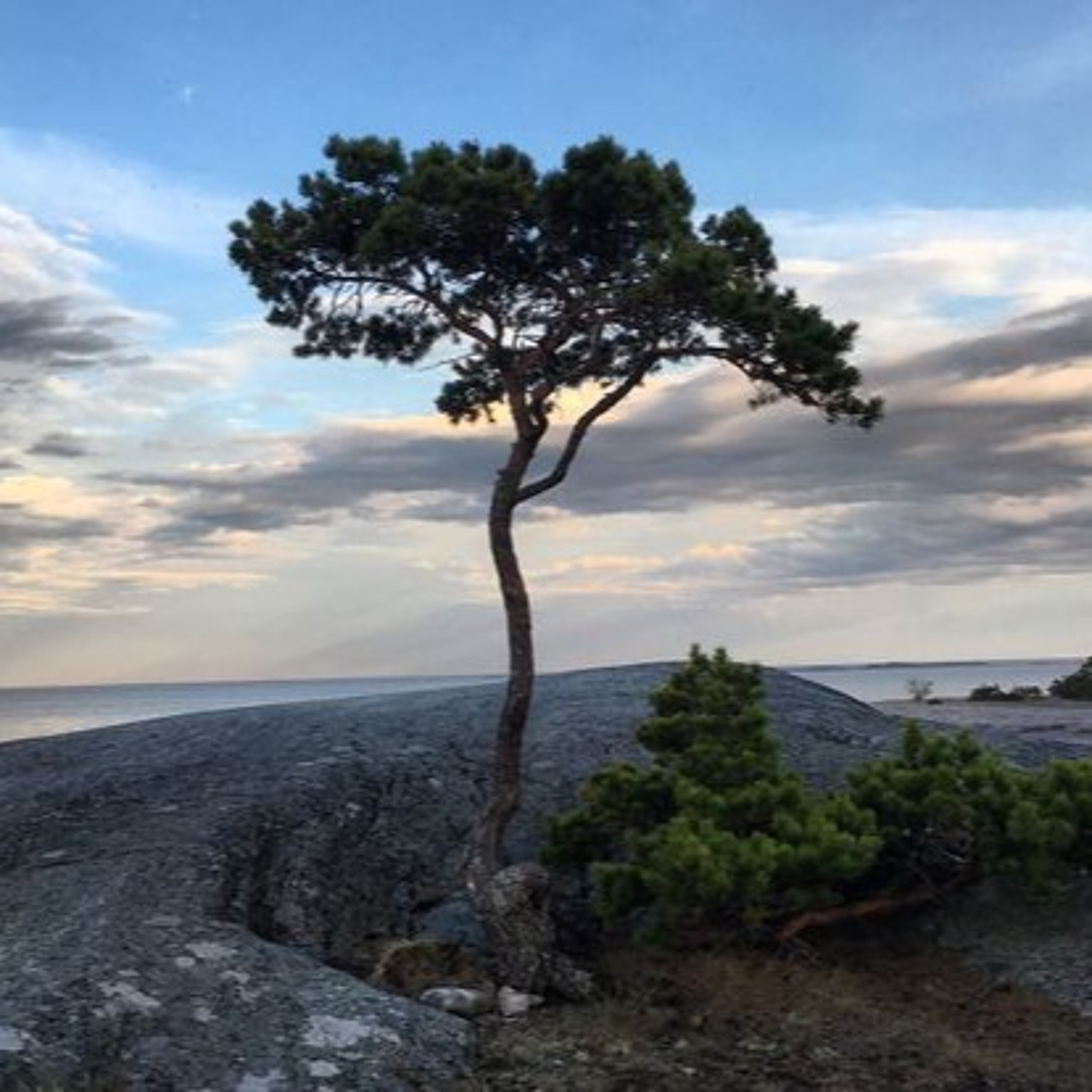 Ansvarspodden