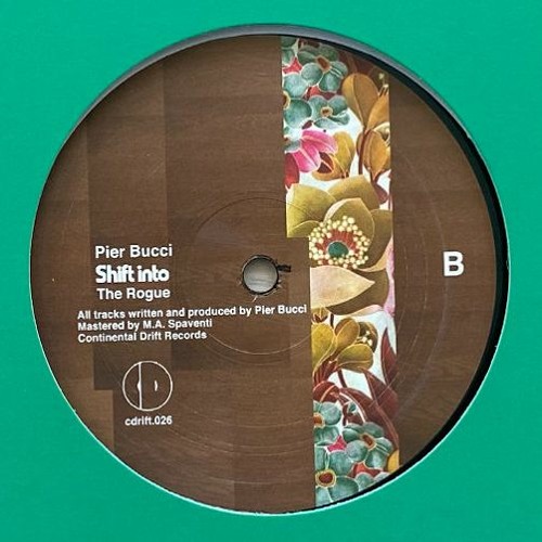 Shift into The Rogue - Pier Bucci (preview)
