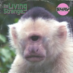 The Living Strange - Don't Feel (Shay. Numb Mix)