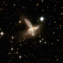 stardust