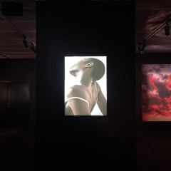 ALEPH - Instant Lover