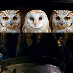"Fair is foul," said the forest owl