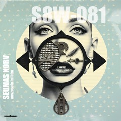 Mezzosole in Ibiza (Radio Edit)
