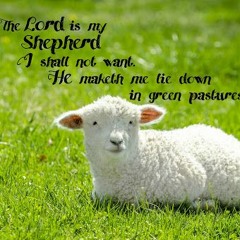 NLH#04.26.20 The Lord Is My Shepherd PT 2 By Ava Green-Cameron
