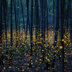 Fireflies In An Autumn Breeze