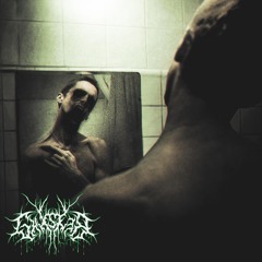 Blood and Distortion