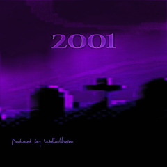 "2001" *FREE* Nineb Youk x B.Baby x Lil Tecca  x Fifty Type Beat (Prod. Wallentheim)