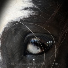 PREMIERE: Gobi Dessert Collective - Dark Days (Shellsee remix)