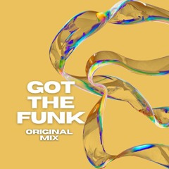Got the Funk (Original Mix)
