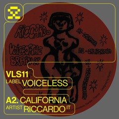 PREMIERE: A2. Riccardo - California (VLS011)