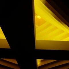 Synesthesia