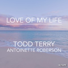 Todd Terry & Antoinette Roberson - Love Of My Life (Edit)