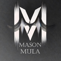 Taylor Swift - The Fate of Ophelia (Mason Mula Remix)