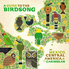 A Guide to the Birdsong of Mexico, Central America & the Caribbean