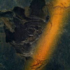 OSC Blend - 01