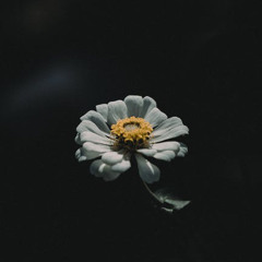 MAKE AN ART OF IT