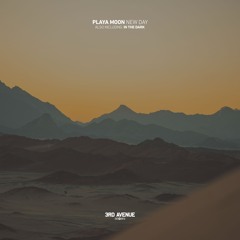 Playa Moon - New Day [3rd Avenue]