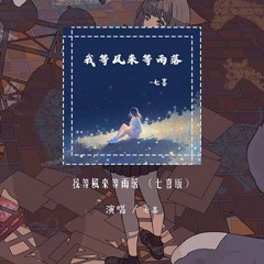 七喜 - 我等风来等雨落 （七喜版）「冬雪飘啊风儿绕 等不到你的拥抱」【動態歌詞/pīn yīn gē cí】#七喜 #我等风来等雨落 #動態歌詞