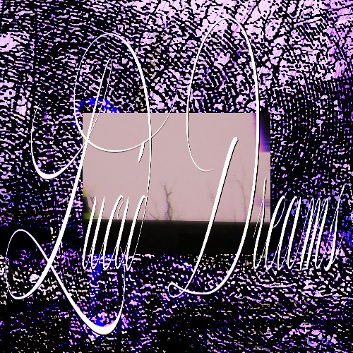 solace in longing (slowed)