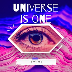 Universe Is One