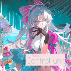 Trbocar - Control Unit SLOWED