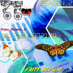 AM Knot