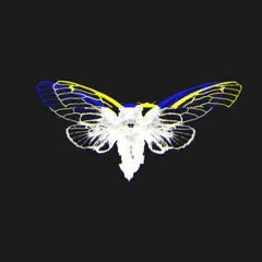 Cicada 3301