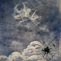Spiders in the sky