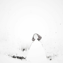 we will die alone (caffeinecrvsh remix)