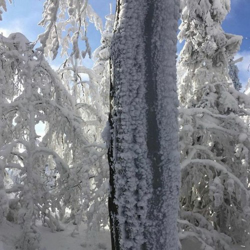 1oneam - déjà vu instrumental [prod boost & theodore]