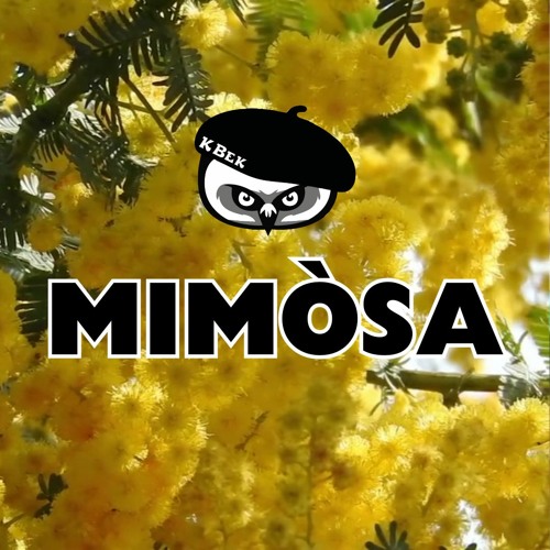 Mimòsa