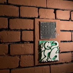ebm house acid