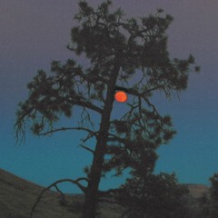 Sansibar - Aurora Eclipse (Forthcoming on Sans Musique LP on 03/12/2021)