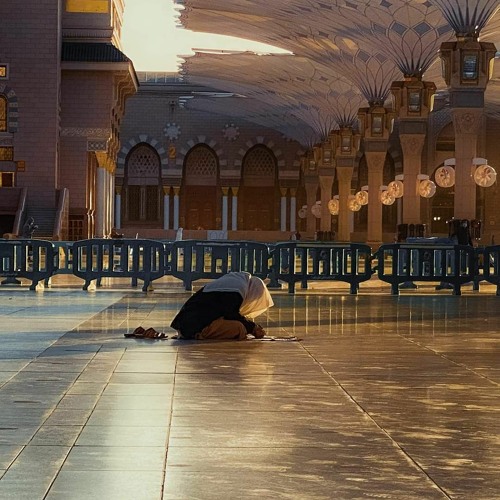 فَلَوْلَا أَنَّهُ كَانَ مِنَ الْمُسَبِّحِينَ | رعد الكردي