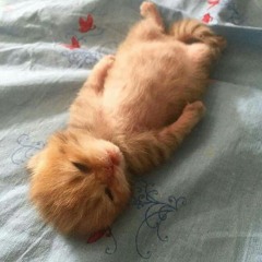 капсайз