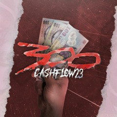 CASHFLOW23 - 300 RON