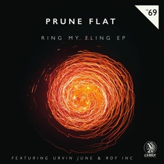 Prune Flat, Urvin June & ROY INC - Want You All Over (Original Mix)