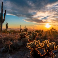 Jupiter Love (guffstar jersey edit)