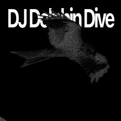 DJ Dolphin Dive - Headshots