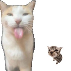 breakcore _cat_boss_fight_(final_breakcore)