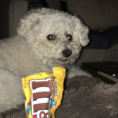 Thru the eyes of ruby (smashing pumpkins cover)