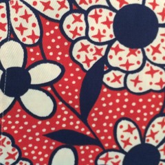 GANIX alternative version