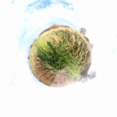 Forandringsvillighed (2016 Helikopter Grammofon ep)