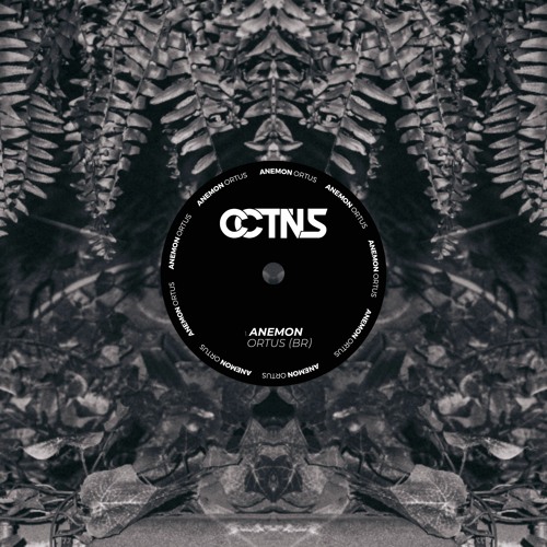 Ortus (BR) - Anemon