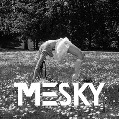 Nina Chuba - Wenn das Liebe ist (Mesky Remix)