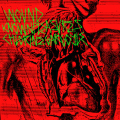 Knownpleasure X Chlorine Gargoyle  - Wound