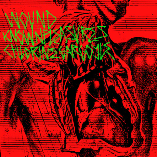 Knownpleasure X Chlorine Gargoyle  - Wound